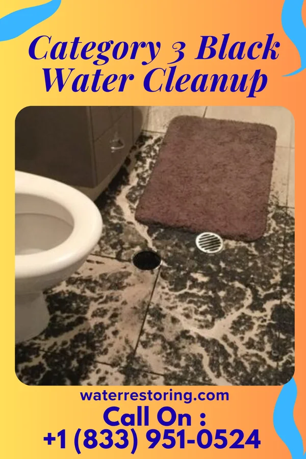 Category 3 Black Water Cleanup in Fort Madison, IA